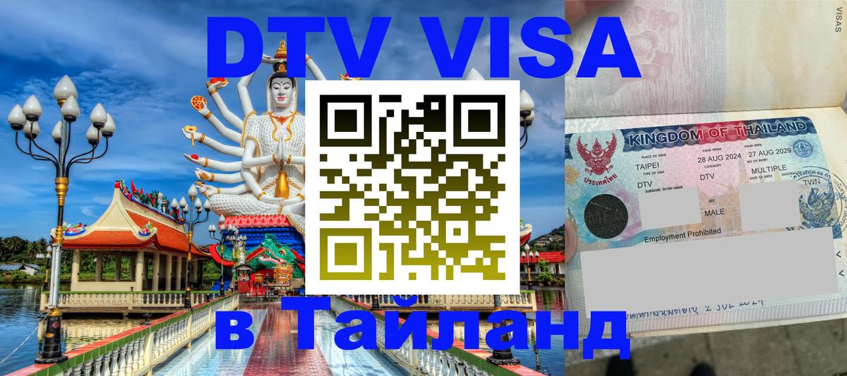 Сколько стоит DTV виза — актуальные цены, оформление даже без документов - Березники 